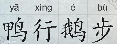 鸭行鹅步的拼音