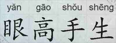 眼高手生的拼音