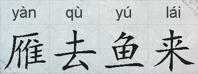 雁去鱼来的拼音