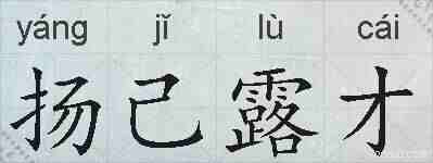 扬己露才的拼音