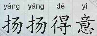 扬扬得意的拼音