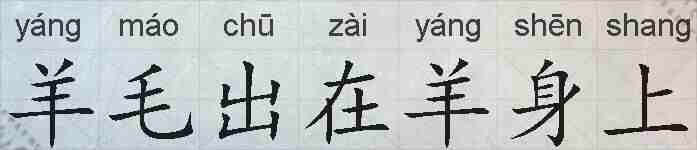 羊毛出在羊身上的拼音