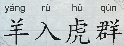 羊入虎群的拼音