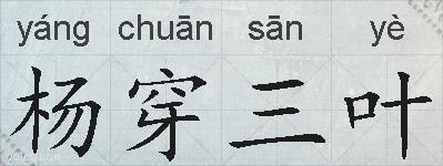 杨穿三叶的拼音