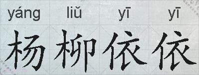杨柳依依的拼音