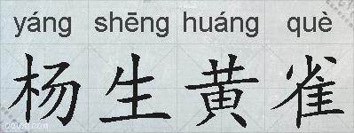 杨生黄雀的拼音