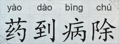 药到病除的拼音