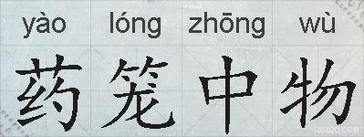 药笼中物的拼音