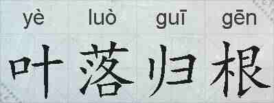 叶落归根的拼音