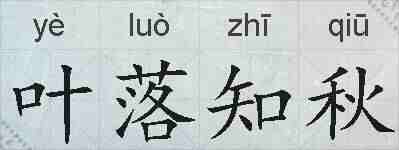 叶落知秋的拼音