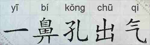 一鼻孔出气的拼音