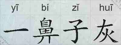 一鼻子灰的拼音