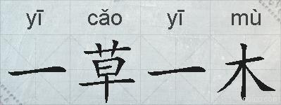 一草一木的拼音