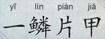 一鳞片甲的拼音