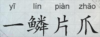 一鳞片爪的拼音