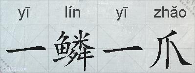 一鳞一爪的拼音