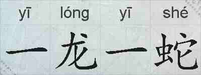 一龙一蛇的拼音