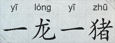 一龙一猪的拼音