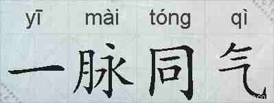一脉同气的拼音