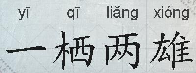 一栖两雄的拼音