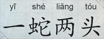 一蛇两头的拼音
