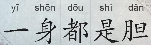 一身都是胆的拼音
