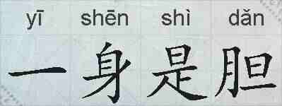 一身是胆的拼音