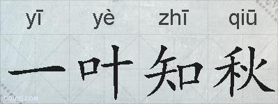 一叶知秋的拼音