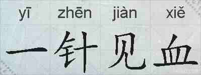 一针见血的拼音