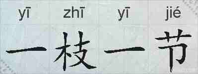 一枝一节的拼音