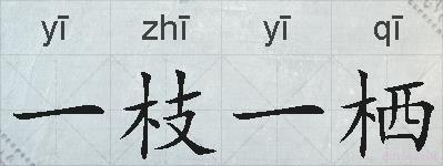 一枝一栖的拼音
