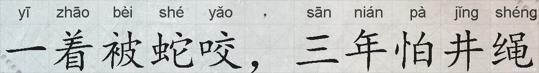 一着被蛇咬，三年怕井绳的拼音