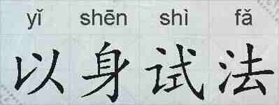 以身试法的拼音