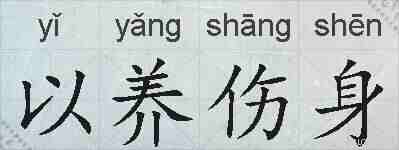 以养伤身的拼音