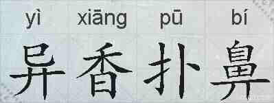 异香扑鼻的拼音