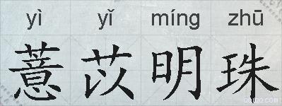 薏苡明珠的拼音