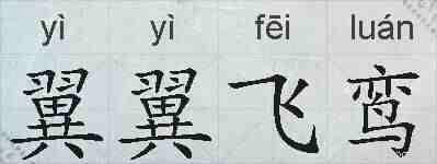 翼翼飞鸾的拼音