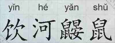 饮河鼹鼠的拼音