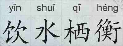 饮水栖衡的拼音