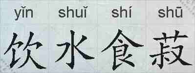 饮水食菽的拼音