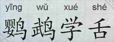 鹦鹉学舌的拼音