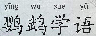 鹦鹉学语的拼音