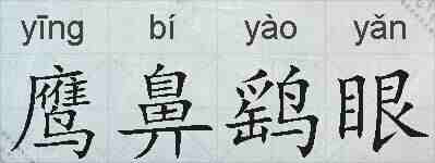 鹰鼻鹞眼的拼音