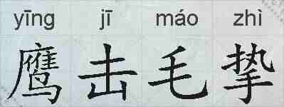 鹰击毛挚的拼音