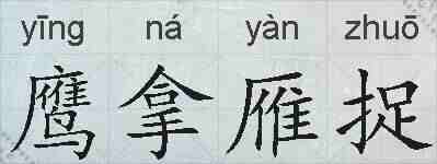 鹰拿雁捉的拼音