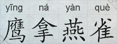 鹰拿燕雀的拼音