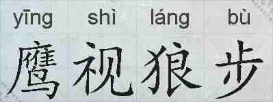 鹰视狼步的拼音