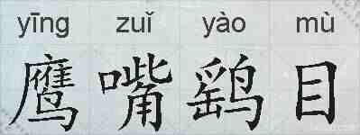 鹰嘴鹞目的拼音