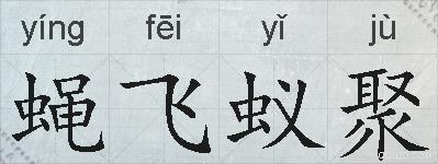 蝇飞蚁聚的拼音