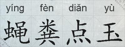 蝇粪点玉的拼音